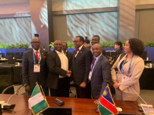 Nigeria will explore energy collaborations with South Korea – Minister for Power 