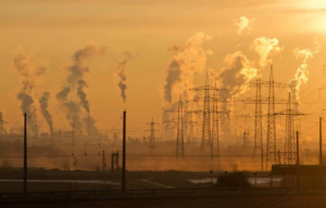 G-20 supports energy flows from different sources – Report