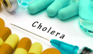 Plateau records 11 confirmed cholera cases, five deaths in Mangu LGA