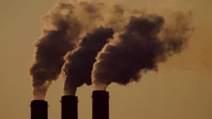 Nestle, Unilever, Mahindra Group, others call for clear timeframe to eliminate fossil fuels