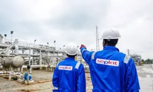 Seplat’s upstream assets power growth: But how is its financing managed? 