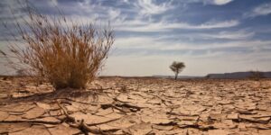 Climate shocks could cost Nigeria $2.4 billion to prevent household poverty, World Bank warns 