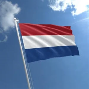How Nigerians can land skilled jobs in the Netherlands 