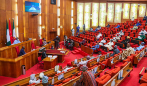 Senate probes JAMB, UNN, others over alleged admission racketeering affecting 290 students