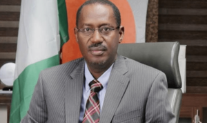 FG to launch mortgage scheme in 2024 for Nigerians in diaspora 