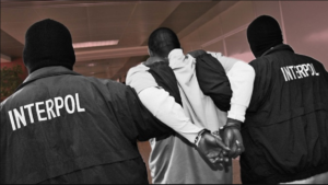 Online fraud: INTERPOL seizes $300 million, arrests 3,500 in sting operation across Nigeria, Ghana, 32 other countries