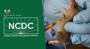 Lassa Fever: Nigeria records 138 deaths, 717 confirmed cases across 15 states 