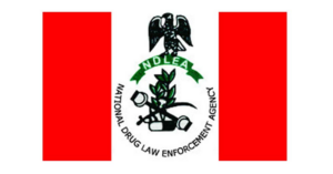 NDLEA intercepts 916kg of Cocaine, Colorado smuggled from Canada, South Africa
