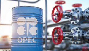 UAE exits OPEC: What it means for Nigeria