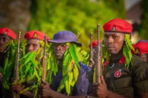 FG considers establishing “agro-rangers” to combat insecurity in farms 