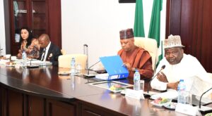 FG to recapitalise Bank of Agriculture to boost food production 