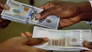 Naira depreciates by 37.6% at official market in January 2024
