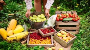 10 most expensive states for healthy diets in Nigeria