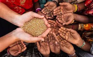 Around 31.5 million Nigerians projected to be in food crisis between June and August- Report 