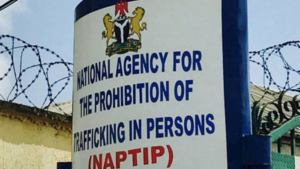 NAPTIP alerts Nigerians against fraudulent vacancies in the oil and gas industries across West Africa