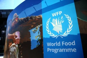 Grains donation from Ukraine to provide food assistance to 1.3 million Nigerians- WFP 