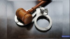 Bill to establish tax crimes commission scales second reading 