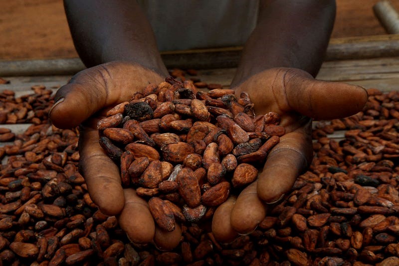 Cocoa prices crash below $4,000 per ton on oversupply, other factors