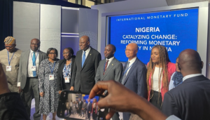 Forex Crisis: “We have transitioned from firefighting to strategic planning” – Cardoso