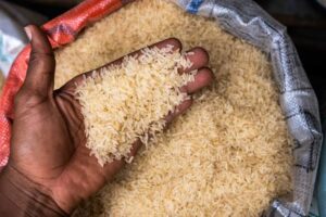 Rice mills in northern Nigeria shutdown as economic woes bite, govt intervention cease 