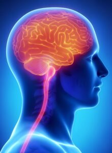 Yobe state records decline in active cerebrospinal meningitis cases