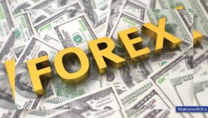Why FX speculation is risky for the average Nigerian