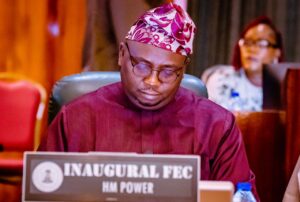 FG has procured 1.8 million meters to curb estimated billing – Adelabu 