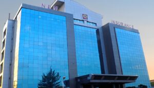 NEM Insurance shareholders approve N3.009 billion dividend for 2023