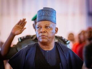 Nigerian startups founded by migrants attracted over $800 million in investments in 2022 – Shettima 