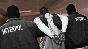 INTERPOL busts cybercrime networks across Africa in sting operation, recovers $97.4 million 