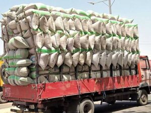 Kano, Kaduna and Katsina residents say they are yet to receive FG Rice Distribution 