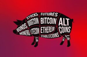 Crypto scammers now prefer Pig Butchering scams over Ponzi schemes - Report   
