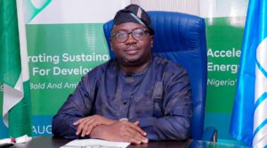 Minister of Power says 40% of Nigerians enjoying 20 hours of daily electricity supply 