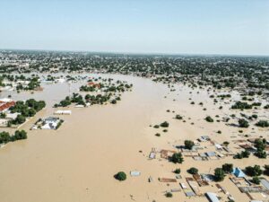 Borno government gets 33.59% of N13.1 billion flood donations so far 