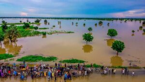Flooding: Edo, Delta, Anambra in high alert as Cameroon begins water release from Lagdo dam 