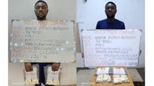 NDLEA intercepts N13.7 billion worth of opioids at Tincan port complex 
