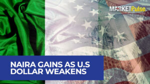 Naira Strengthens as US Dollar Weakens Ahead of US CPI Report and Fed Decision