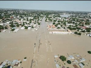 Flood: NEDC begins sharing 200,000 bags of rice to Borno, Adamawa, other victims 