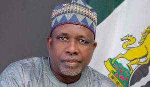 Nigeria Leather Institute to establish leather tanneries in all 36 states 