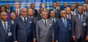 Africa Energy Bank to take off by January 2025 — FG  