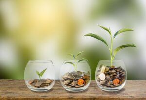 Where should Nigerians invest N1 million this year? 