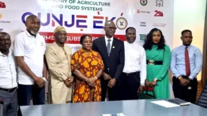 Lagos to launch N500 million subsidy program on Feb 5 for poultry, fish farmers  