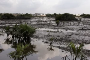 Shell reports another oil spill in Niger Delta; over 130 spills in 2024 