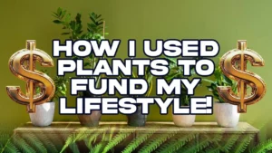 Turning Green into Gold: The Business of Plants on Paid in Full