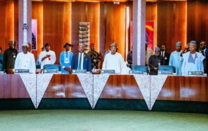 NEC approves $90 billion Agribusiness and Livestock Development Plan for Nigeria, sets 2035 target 