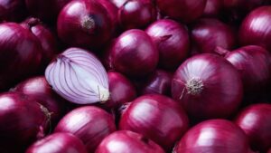 Bank of Industry, RMRDC partner to curb post-harvest losses, boost onion processing in Nigeria 