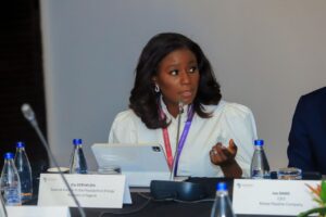 Nigeria attracts $8 billion investment in deepwater, gas projects in a year – Olu Verheijen 
