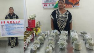 NDLEA intercepts N3.4 billion worth of opioids, codeine in Lagos and Port Harcourt 