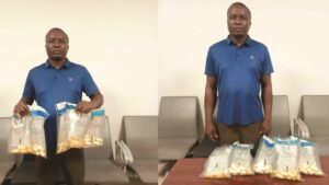 NDLEA intercepts 157,800 bottles of codeine syrup worth over N1.1 billion at Rivers State 