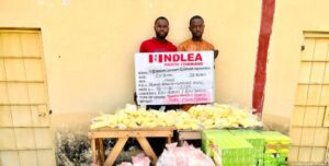 NDLEA seizes over 1 million opioid pills in Bauchi, intercepts cannabis, meth in Kaduna, Abuja 